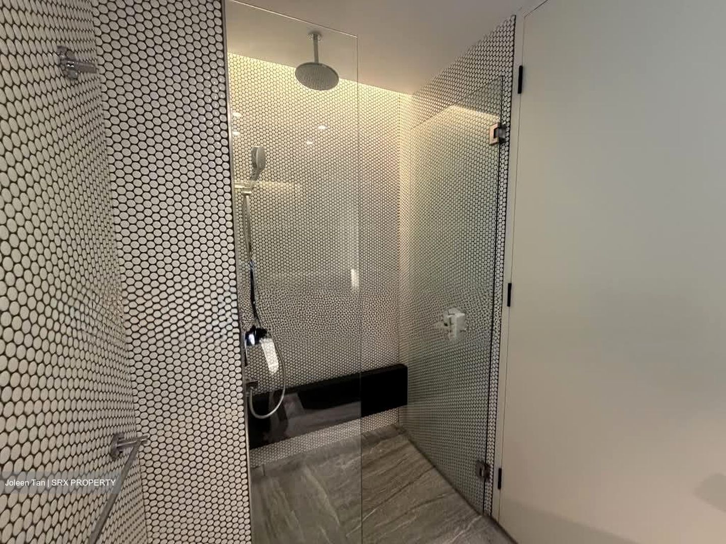 10 Evelyn (D11), Apartment #549957811